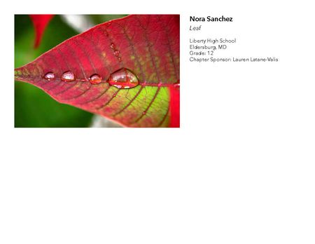 2018 NAHS/NJAHS Juried Exhibit_