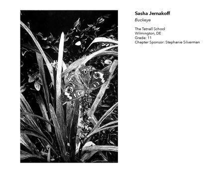 2018 NAHS/NJAHS Juried Exhibit_