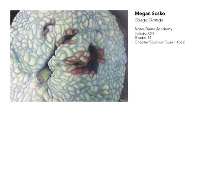 2018 NAHS/NJAHS Juried Exhibit_