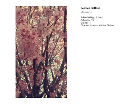 2018 NAHS/NJAHS Juried Exhibit_