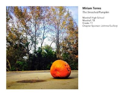 2018 NAHS/NJAHS Juried Exhibit_
