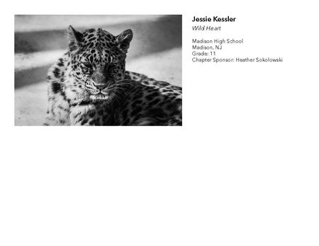 2018 NAHS/NJAHS Juried Exhibit_