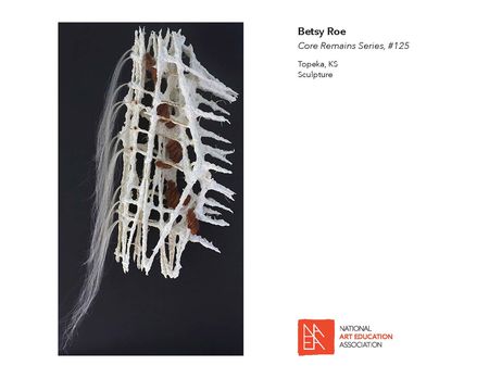 _2017 Member Exhibit