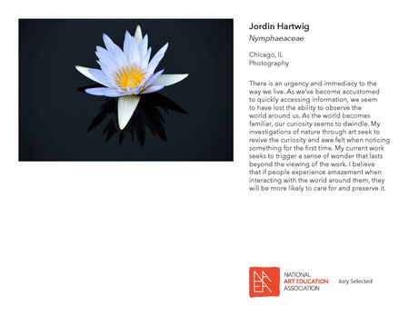 _JURIED IN_2017 Member Exhibit