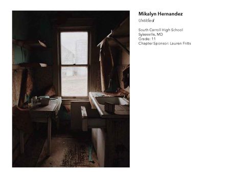 2018 NAHS/NJAHS Juried Exhibit_