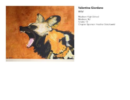 2018 NAHS/NJAHS Juried Exhibit_