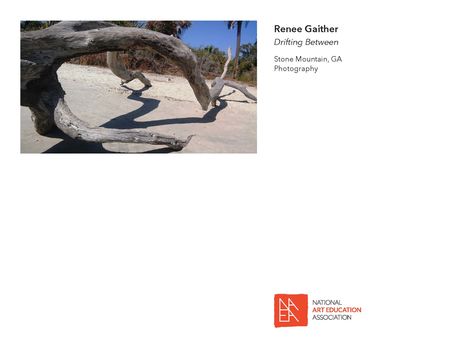 _2017 Member Exhibit