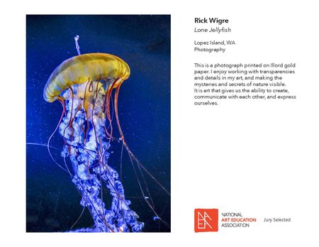 _JURIED IN_2017 Member Exhibit