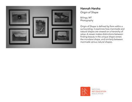 _2019 Member Exhibit_ALT