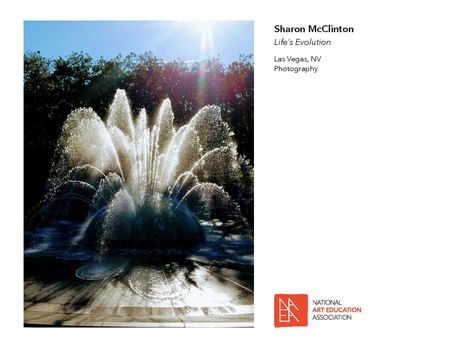 _2017 Member Exhibit