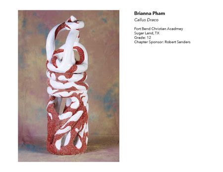 2018 NAHS/NJAHS Juried Exhibit_