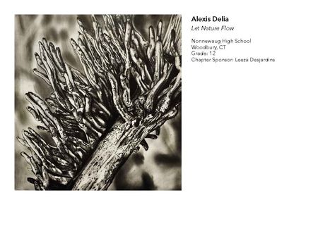 2018 NAHS/NJAHS Juried Exhibit_