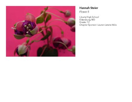 2018 NAHS/NJAHS Juried Exhibit_