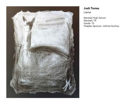 2018 NAHS/NJAHS Juried Exhibit_