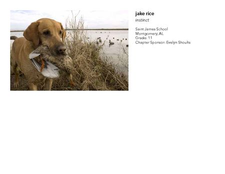 2018 NAHS/NJAHS Juried Exhibit_19