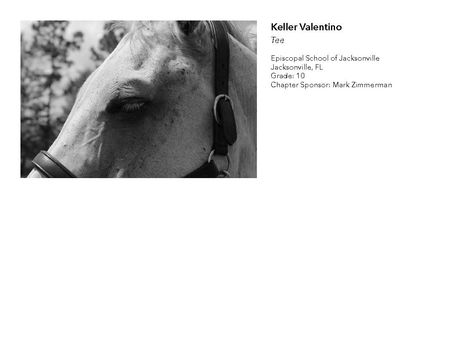 2018 NAHS/NJAHS Juried Exhibit_