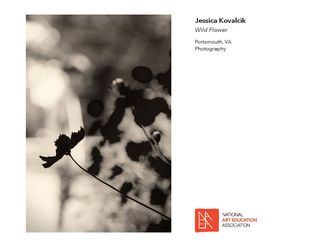 _2017 Member Exhibit