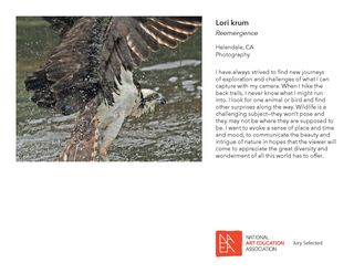 _JURIED IN_2017 Member Exhibit