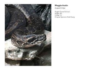 2018 NAHS/NJAHS Juried Exhibit_