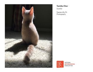 _2017 Member Exhibit