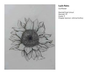 2018 NAHS/NJAHS Juried Exhibit_