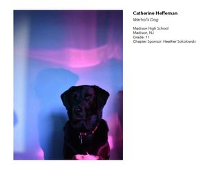 2018 NAHS/NJAHS Juried Exhibit_