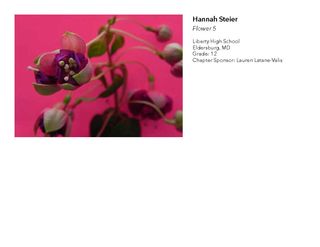 2018 NAHS/NJAHS Juried Exhibit_