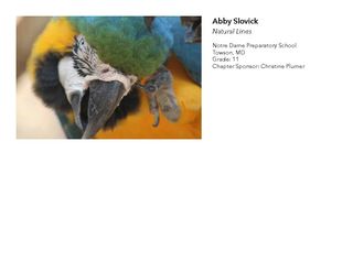 2018 NAHS/NJAHS Juried Exhibit_