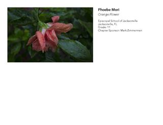 2018 NAHS/NJAHS Juried Exhibit_